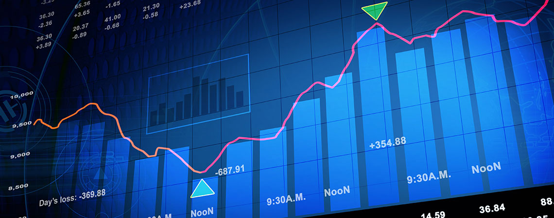 Investors Statutory Information of Dharamsi Morarji Chemical Company